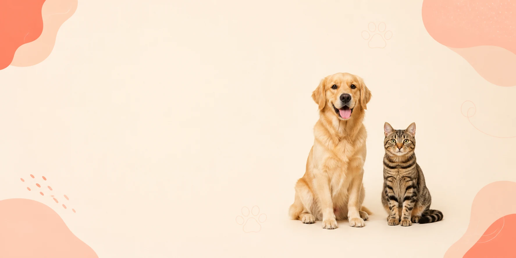 Happy golden retriever and tabby cat